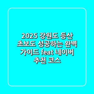 2025 강원도 등산, 초보도 성공하는 완벽 가이드 (feat. 네이버 추천 코스)