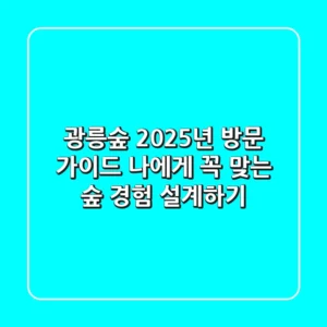광릉숲 2025년 방문 가이드: 나에게 꼭 맞는 숲 경험 설계하기
