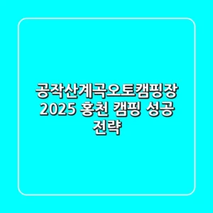 공작산계곡오토캠핑장: 2025 홍천 캠핑 성공 전략