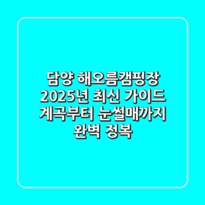 담양 해오름캠핑장 2025년 최신 가이드: 계곡부터 눈썰매까지 완벽 정복