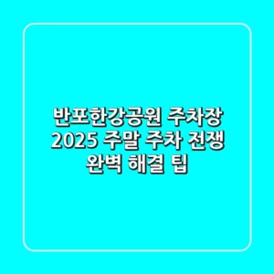 반포한강공원 주차장 2025: 주말 주차 전쟁 완벽 해결 팁!
