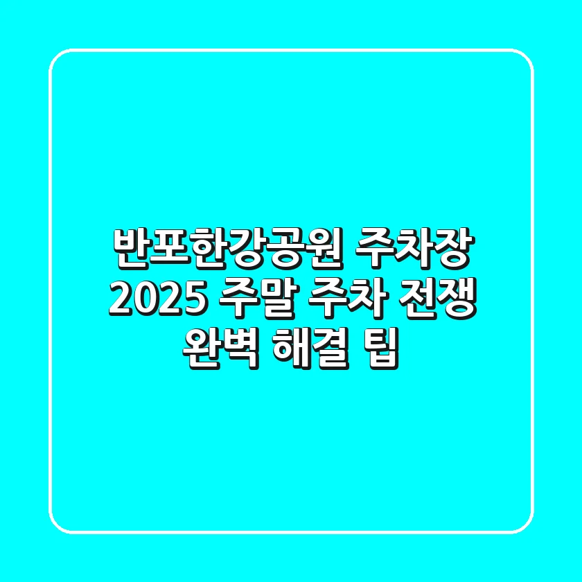 반포한강공원 주차장 2025: 주말 주차 전쟁 완벽 해결 팁!