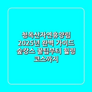 청옥산자연휴양림 2025년 완벽 가이드: 숲캉스 꿀팁부터 힐링 코스까지