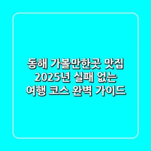 동해 가볼만한곳 맛집, 2025년 실패 없는 여행 코스 완벽 가이드