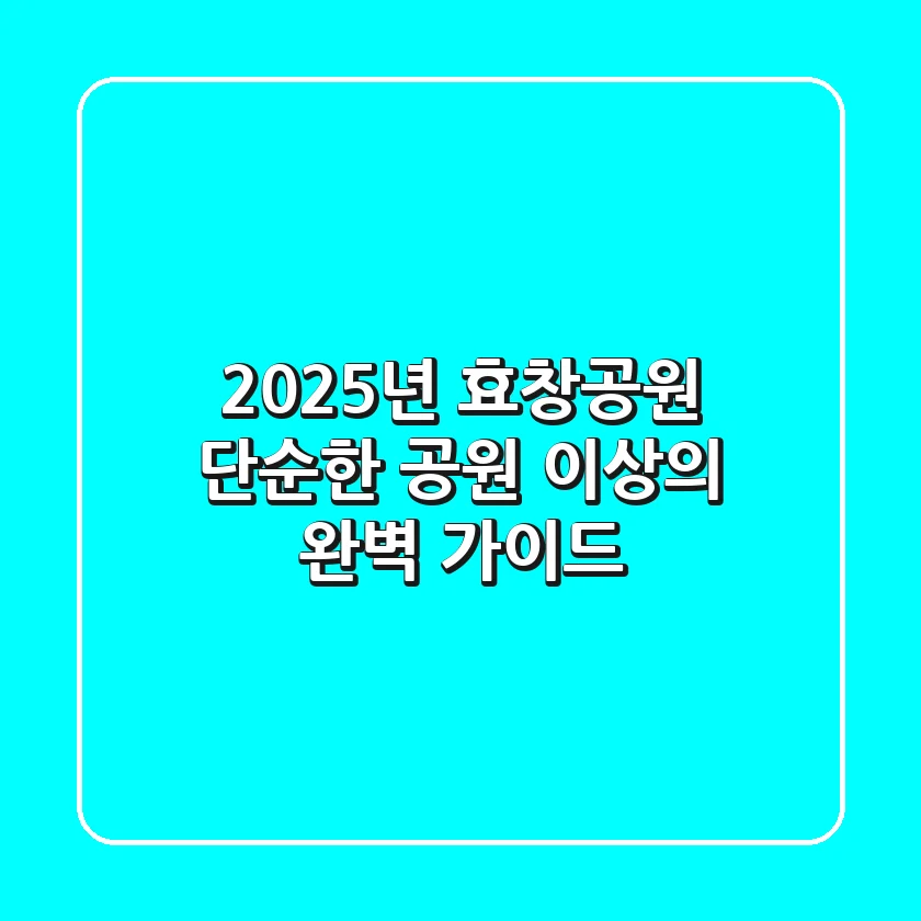 2025년 효창공원, 단순한 공원 이상의 완벽 가이드