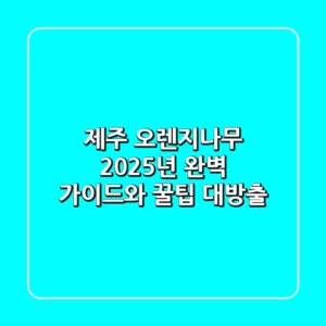 제주 오렌지나무: 2025년 완벽 가이드와 꿀팁 대방출