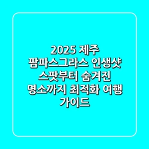 2025 제주 팜파스그라스: 인생샷 스팟부터 숨겨진 명소까지, 최적화 여행 가이드