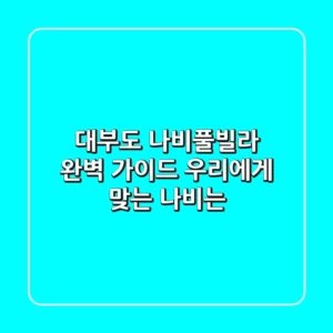 대부도 나비풀빌라 완벽 가이드: 우리에게 맞는 '나비'는?