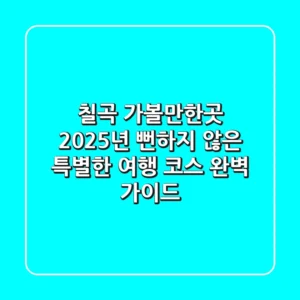 칠곡 가볼만한곳: 2025년, 뻔하지 않은 특별한 여행 코스 완벽 가이드