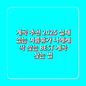계곡 추천 2025: 실패 없는 여름휴가, 나에게 딱 맞는 BEST 계곡 찾는 법