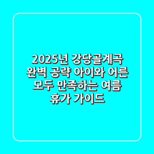 2025년 강당골계곡 완벽 공략: 아이와 어른 모두 만족하는 여름 휴가 가이드
