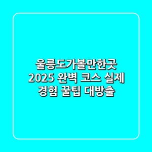 울릉도가볼만한곳 2025 완벽 코스: 실제 경험 꿀팁 대방출!