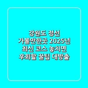 강원도 정선 가볼만한곳, 2025년 최신 코스 & 놓치면 후회할 꿀팁 대방출!