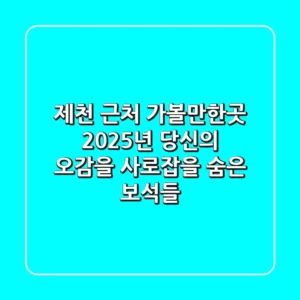 제천 근처 가볼만한곳, 2025년 당신의 오감을 사로잡을 숨은 보석들