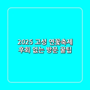 2025 고성 연꽃축제: 후회 없는 방문 꿀팁!