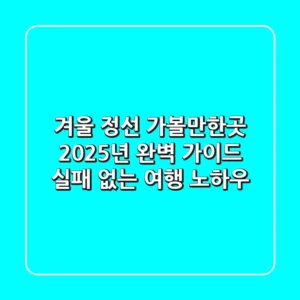 겨울 정선 가볼만한곳, 2025년 완벽 가이드 (실패 없는 여행 노하우)