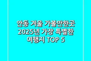안동 겨울 가볼만한곳, 2025년 가장 특별한 여행지 TOP 5