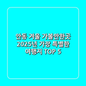 안동 겨울 가볼만한곳, 2025년 가장 특별한 여행지 TOP 5