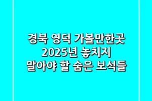 경북 영덕 가볼만한곳, 2025년 놓치지 말아야 할 숨은 보석들!