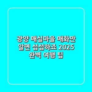 광양 매실마을, 매화만 알면 섭섭하죠? 2025 완벽 여행 팁!