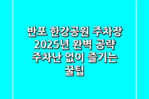 반포 한강공원 주차장 2025년 완벽 공략: 주차난 없이 즐기는 꿀팁