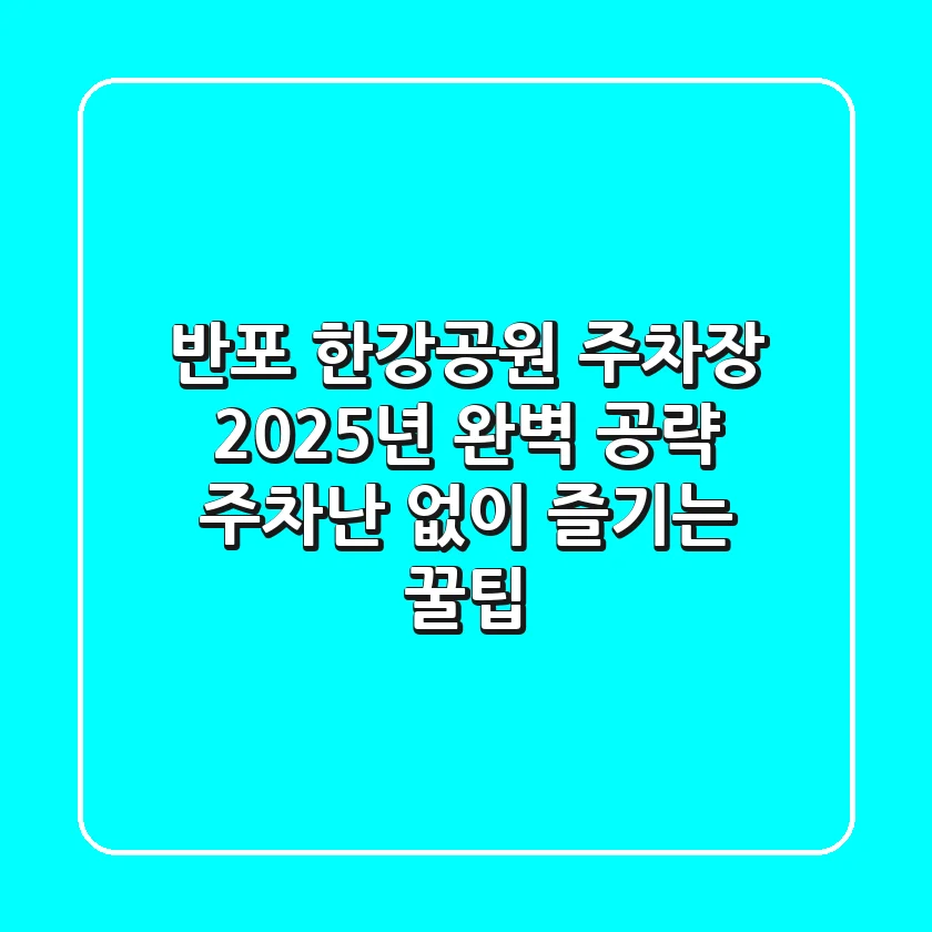 반포 한강공원 주차장 2025년 완벽 공략: 주차난 없이 즐기는 꿀팁