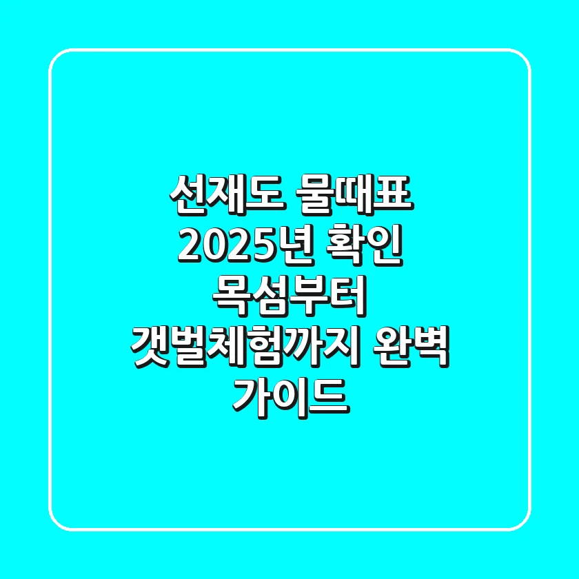 선재도 물때표 2025년 확인! 목섬부터 갯벌체험까지 완벽 가이드