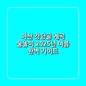 아산 강당골 계곡 물놀이: 2025년 여름 완벽 가이드