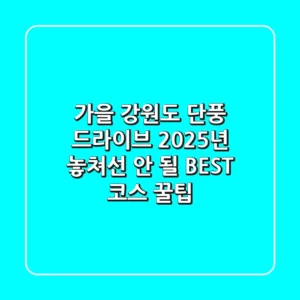 가을 강원도 단풍 드라이브, 2025년 놓쳐선 안 될 BEST 코스 & 꿀팁