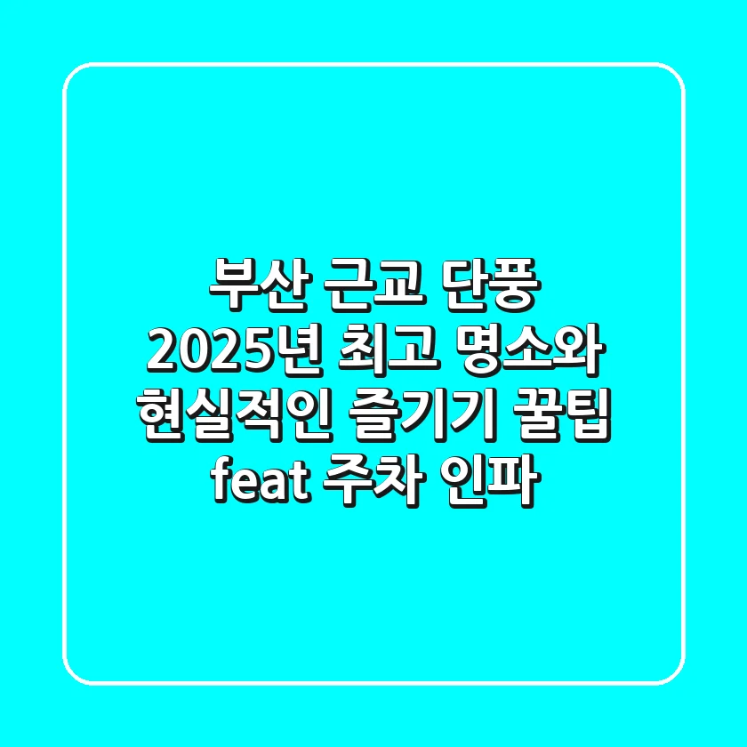 부산 근교 단풍, 2025년 최고 명소와 현실적인 즐기기 꿀팁 (feat. 주차 & 인파)