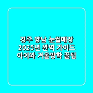경주 양남 눈썰매장 2025년 완벽 가이드: 아이와 겨울방학 꿀팁!