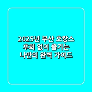 2025년 부산 호캉스, 후회 없이 즐기는 나만의 완벽 가이드