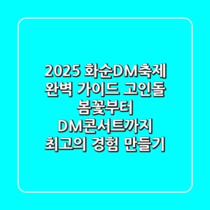 2025 화순DM축제 완벽 가이드: 고인돌 봄꽃부터 DM콘서트까지, 최고의 경험 만들기