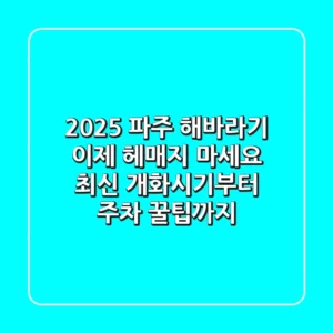 2025 파주 해바라기, 이제 헤매지 마세요! (최신 개화시기부터 주차, 꿀팁까지)
