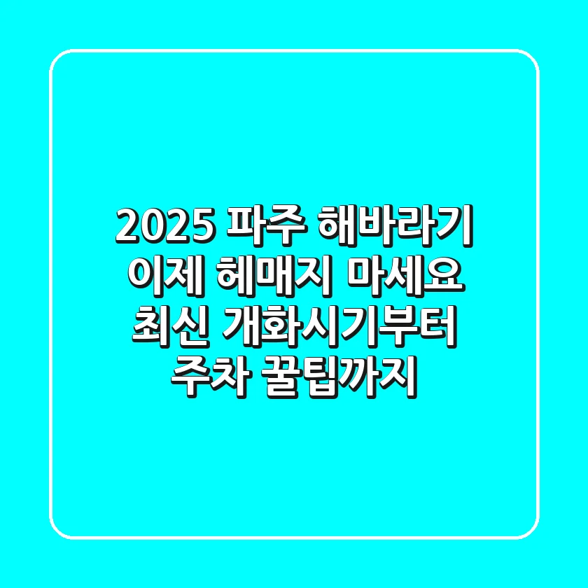 2025 파주 해바라기, 이제 헤매지 마세요! (최신 개화시기부터 주차, 꿀팁까지)