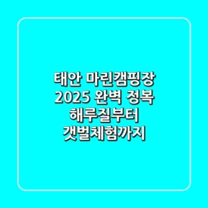 태안 마린캠핑장, 2025 완벽 정복: 해루질부터 갯벌체험까지