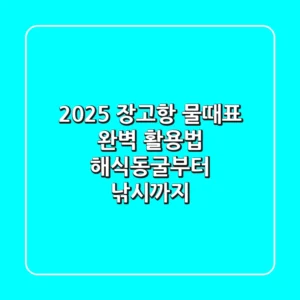 2025 장고항 물때표 완벽 활용법: 해식동굴부터 낚시까지!