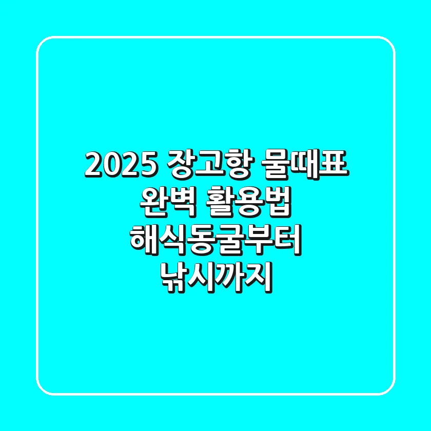 2025 장고항 물때표 완벽 활용법: 해식동굴부터 낚시까지!