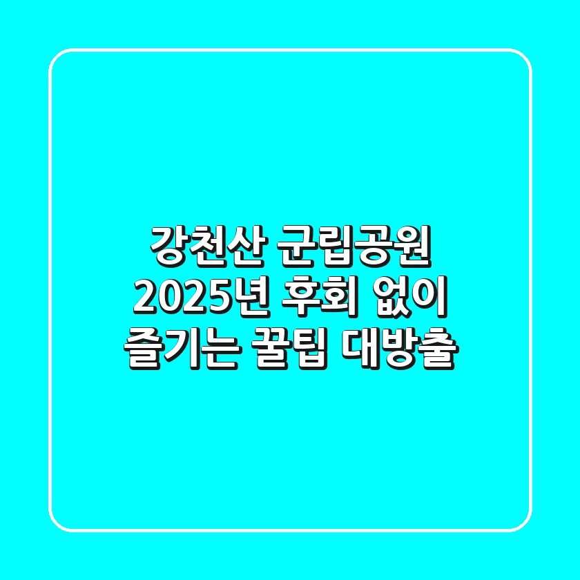 강천산 군립공원: 2025년, 후회 없이 즐기는 꿀팁 대방출!