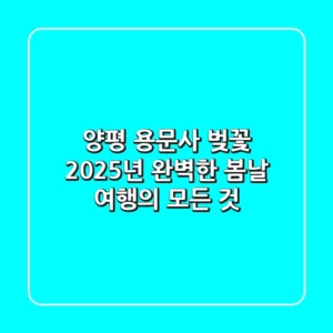 양평 용문사 벚꽃 2025년, 완벽한 봄날 여행의 모든 것