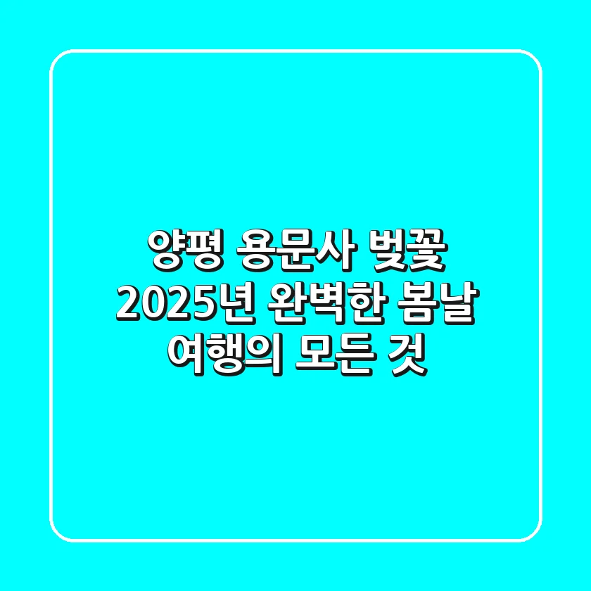 양평 용문사 벚꽃 2025년, 완벽한 봄날 여행의 모든 것