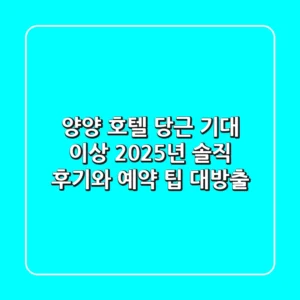 양양 호텔 당근, 기대 이상? 2025년 솔직 후기와 예약 팁 대방출!
