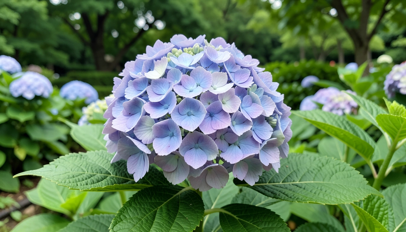 천리포수목원 가는 길, 주차, 주변 맛집까지! 실제 경험에서 우러난 조언