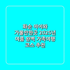 화순 아이와 가볼만한곳, 2025년 여름 완벽 가족여행 코스 추천!