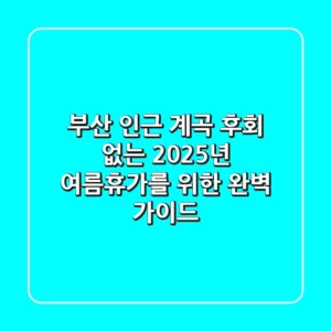 부산 인근 계곡, 후회 없는 2025년 여름휴가를 위한 완벽 가이드