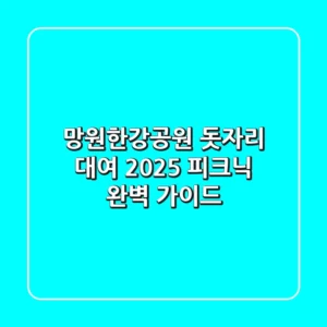 망원한강공원 돗자리 대여, 2025 피크닉 완벽 가이드
