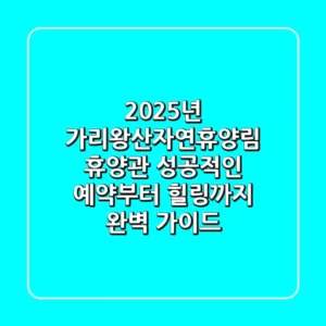 2025년 가리왕산자연휴양림 휴양관, 성공적인 예약부터 힐링까지 완벽 가이드