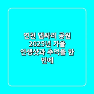 연천 댑싸리 공원, 2025년 가을 인생샷과 추억을 한 번에!
