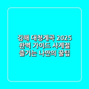 김해 대청계곡 2025 완벽 가이드: 사계절 즐기는 나만의 꿀팁