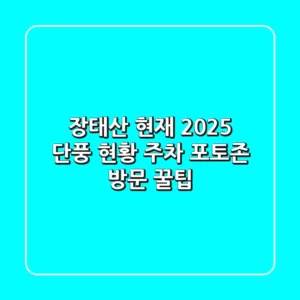 장태산 현재: 2025 단풍 현황, 주차, 포토존 방문 꿀팁!